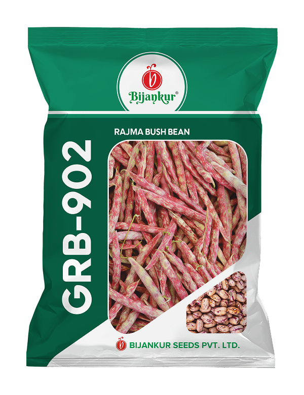 French Bean - GRB-902